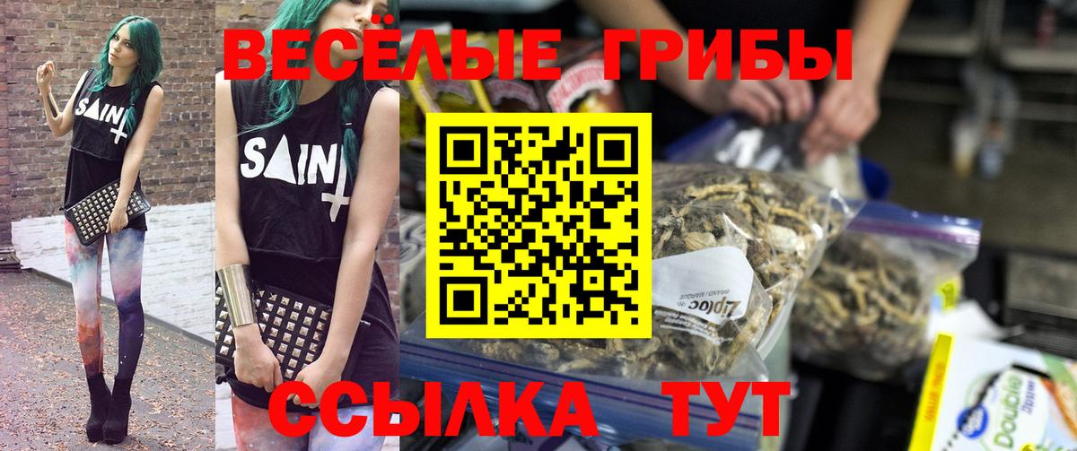 Галлюциногенные грибы MAGIC MUSHROOMS  Вход с VPN  Заинск 
